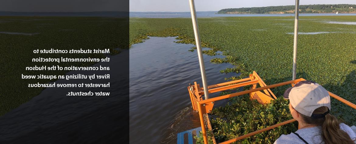  Marist students conduct hands-on research with the New York State Department of Environmental Conservation Hudson River Estuary Program and the Hudson River National Estuarine Research Reserve on migratory eels in the Hudson River and changes in eel pigmentation.